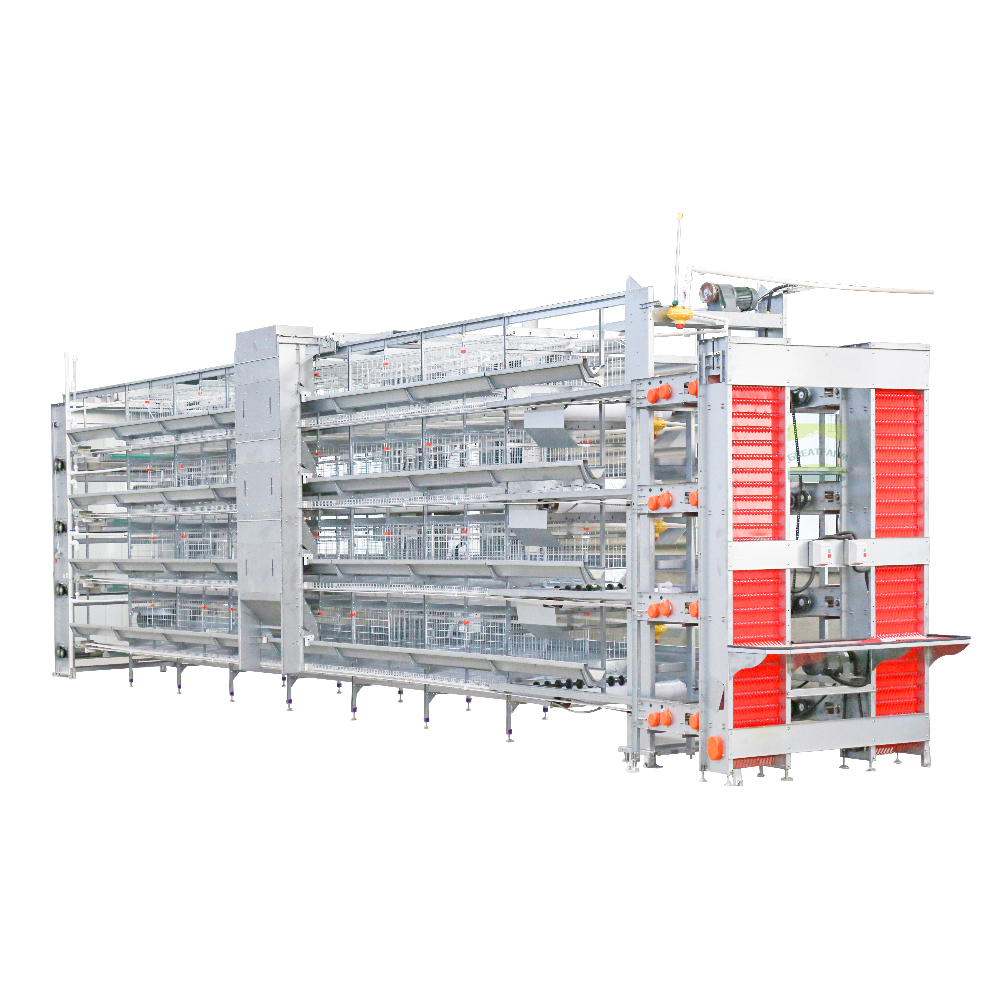 H-Type Automatic Layer Cage System