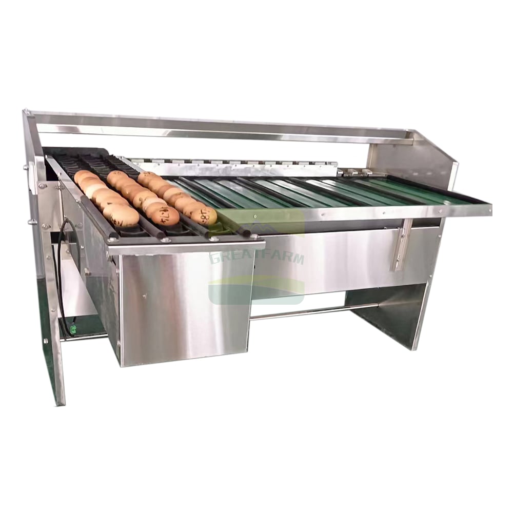 Egg Sorting Machine with Eggs