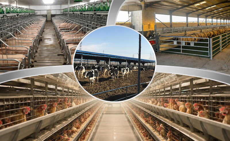 Zhengzhou Jinhui Agricultural S&T Co., Ltd.