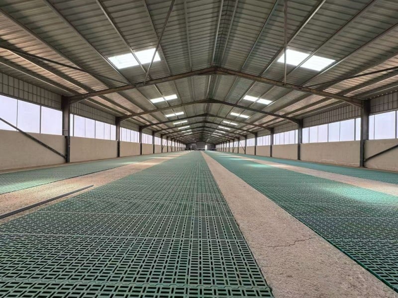 Jordan sheep farm project.jpg