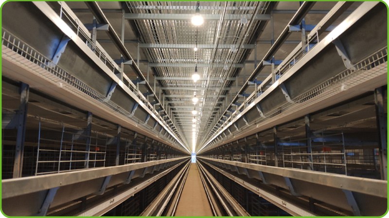 Chicken farm cage equipment