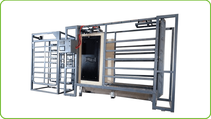 Automatic Sorting and Weighing System