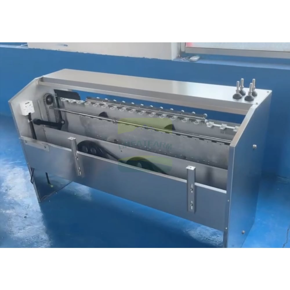 Egg Sorting Machines in Workshop