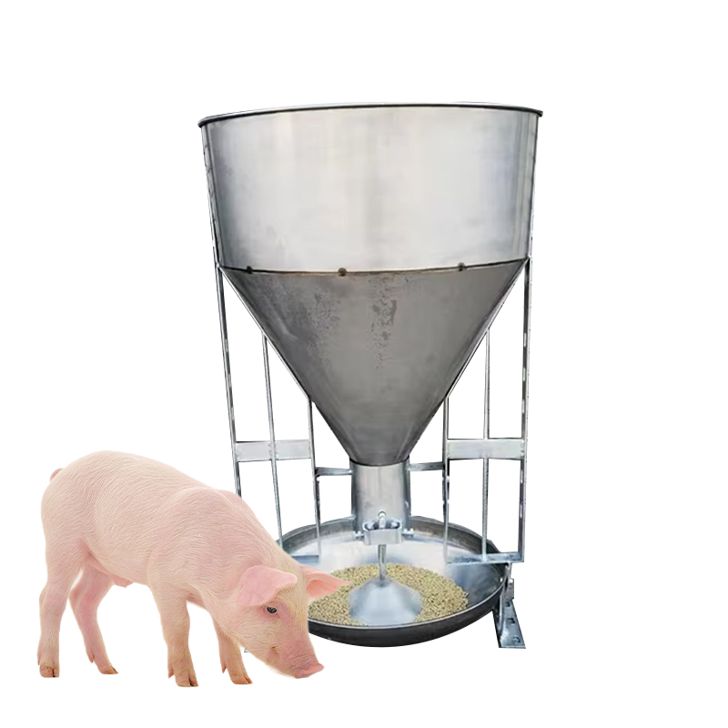 Feed storage and automatic feeding system for boar station