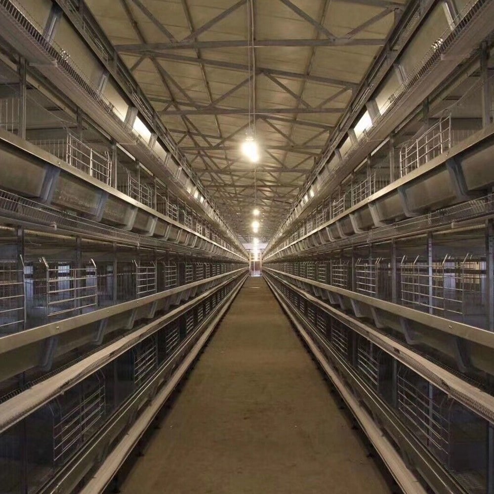 broiler cage project aerial house
