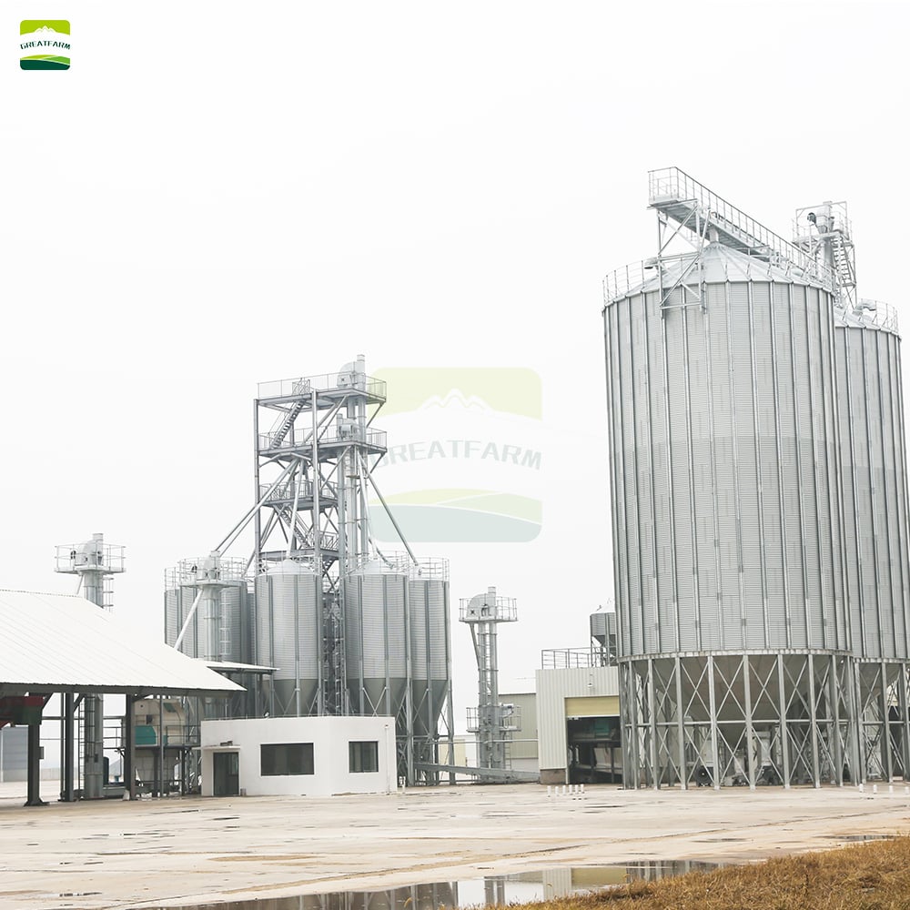 Beef cattle feeding system
