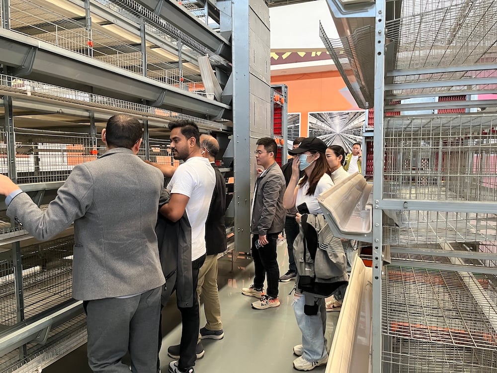 Dominican Republic 15,000 Breeding Chicken Farming Project