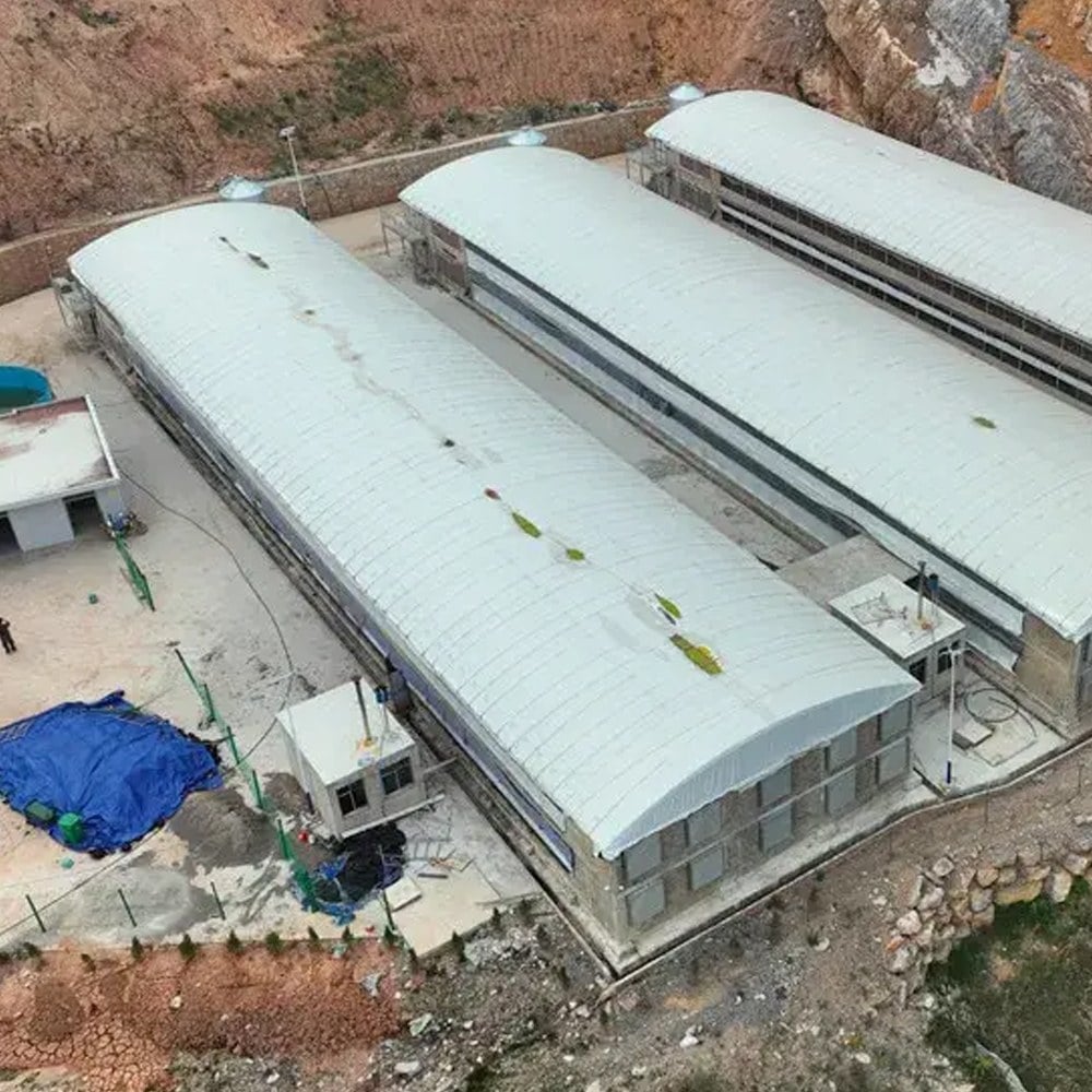 automatic feed trough and feeding line for broilers