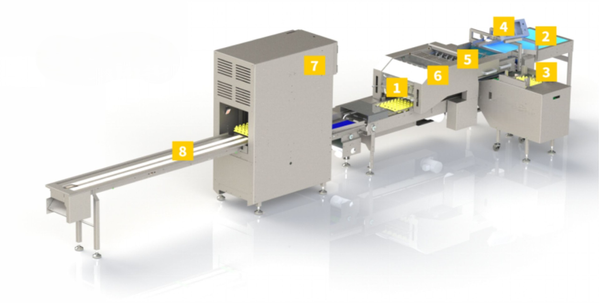 3.6W farm packing machine 3D layout