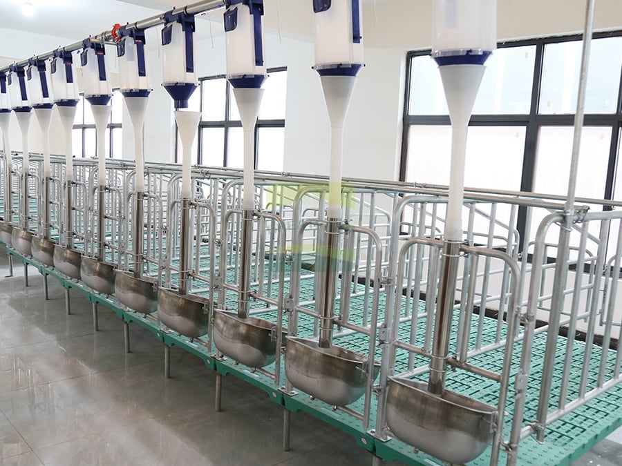 Beginning a Pig Farm: How to Choose the Right Pig Farming Equipment