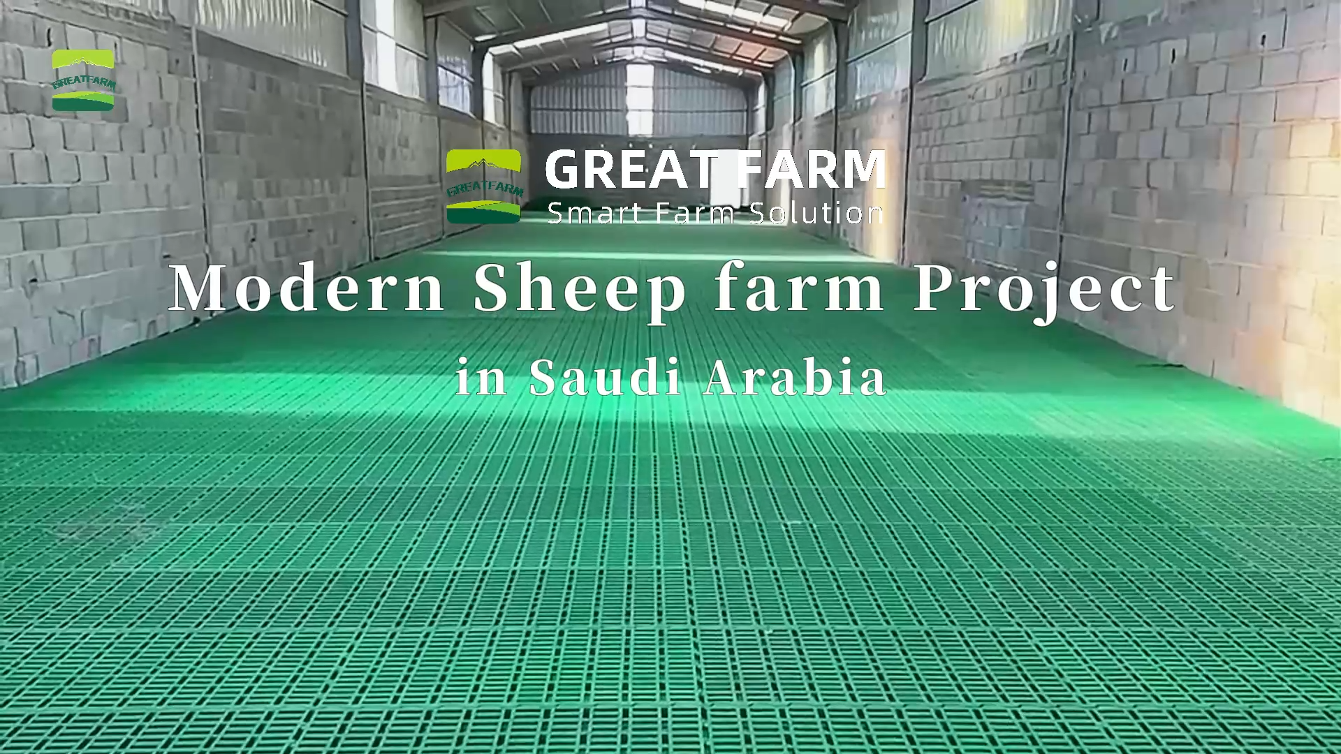 Installation video of Saudi sheep farm project Ⅰ