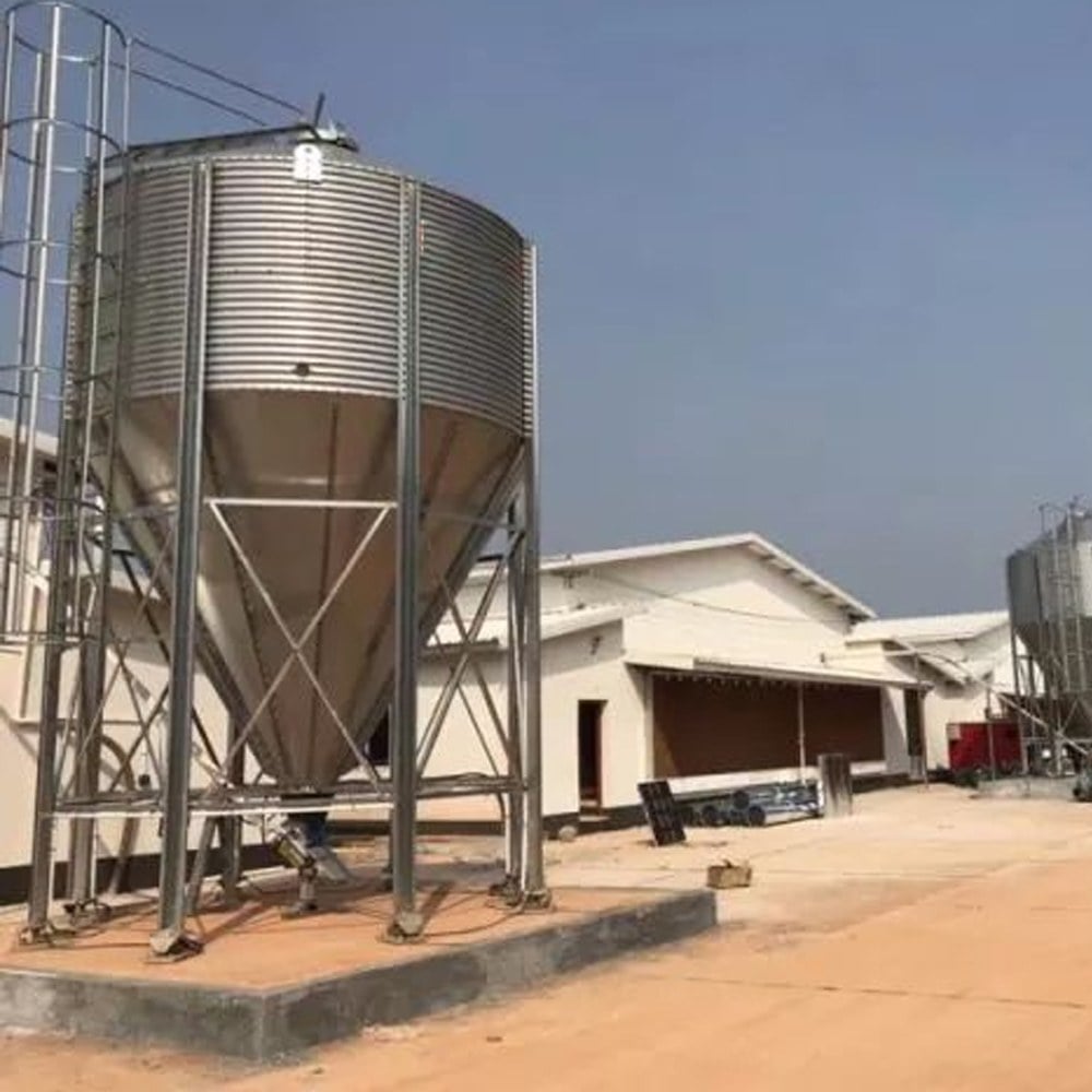 broiler cage system with feeding equipment