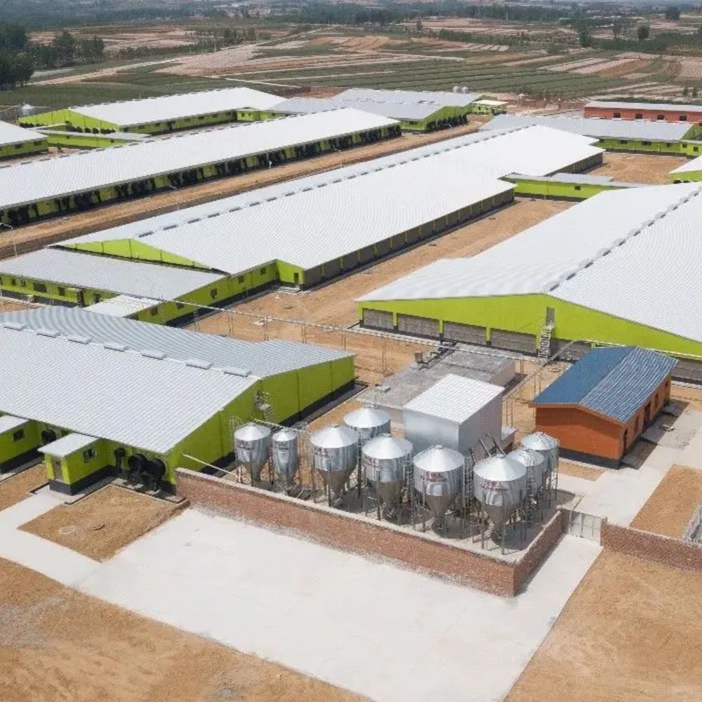 Fattening project pig house overview illustration