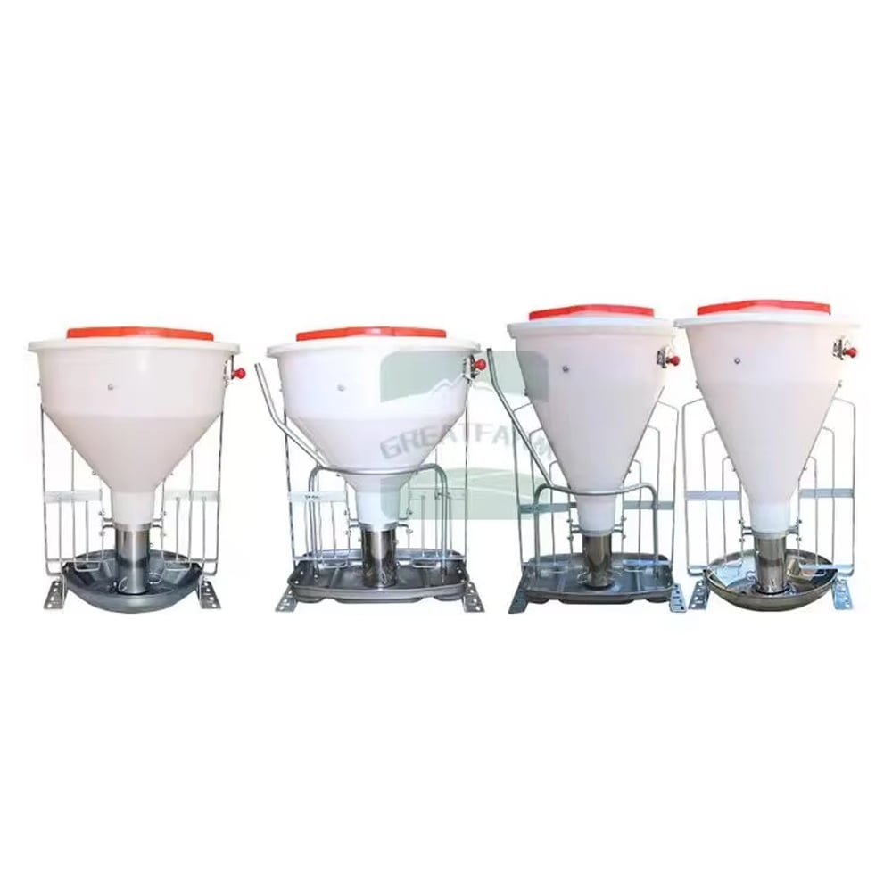 Automatic pig feeding system with feed silo and auger delivery