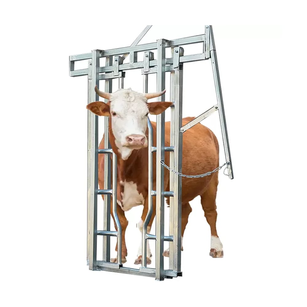 Cow stall headlock and gate system