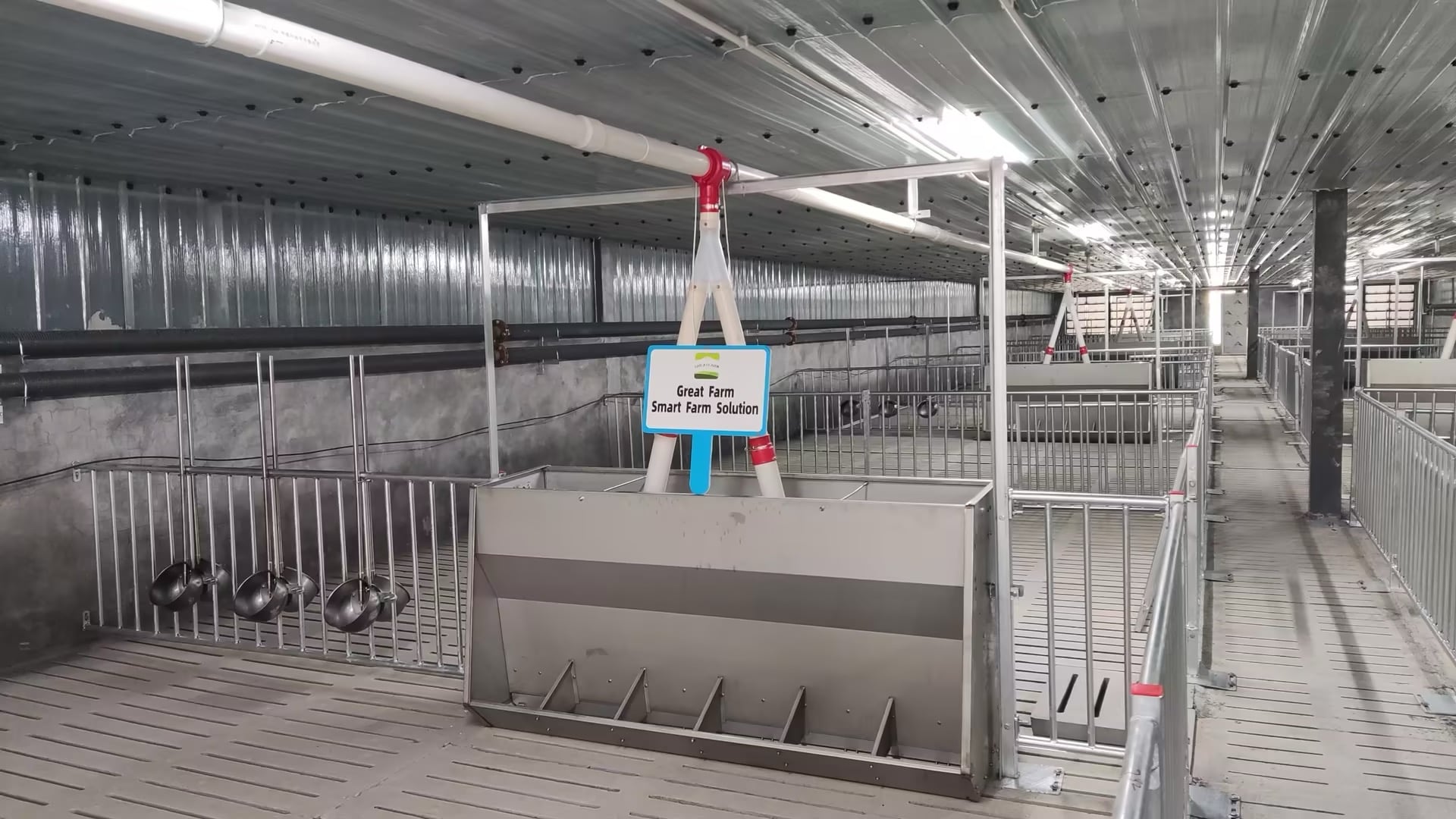 Fattening pen or sow house pen zone with feed troughs