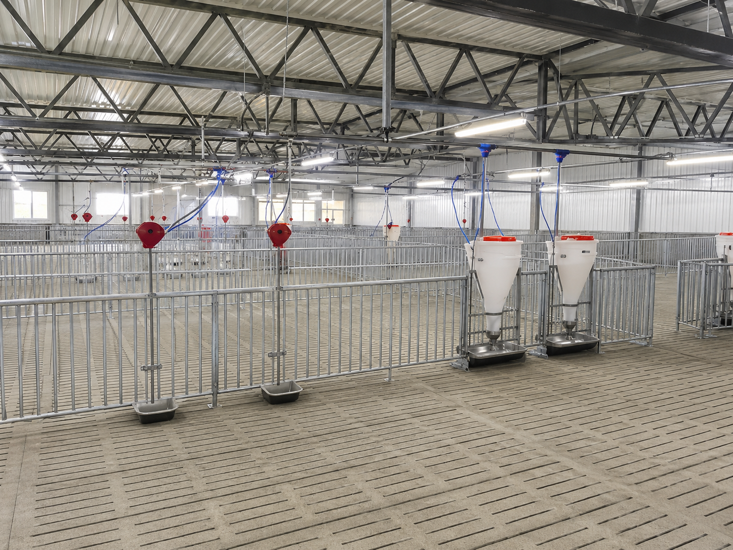 Pig barn drinking system layout