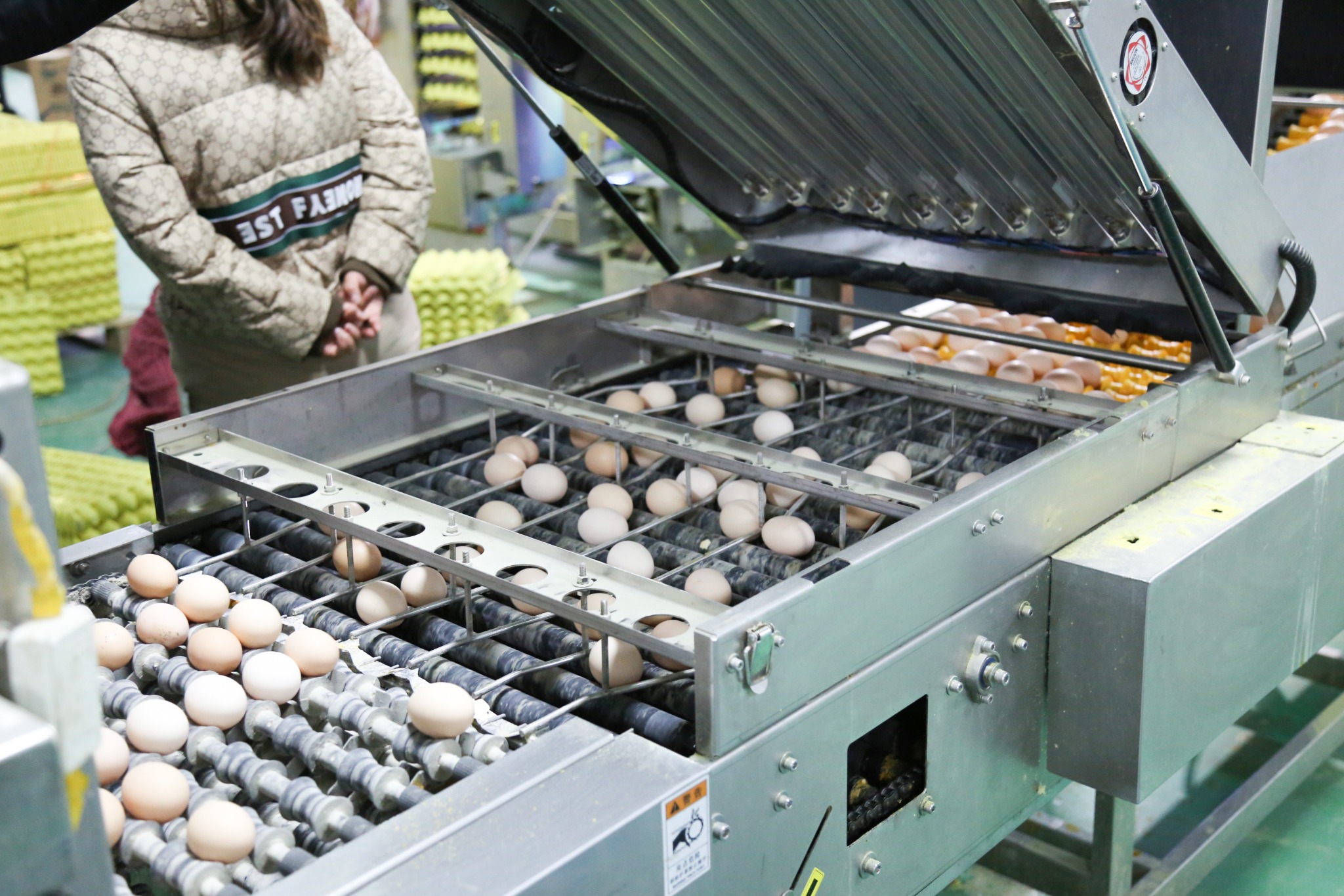 Egg checking and conveyor detail with cover open