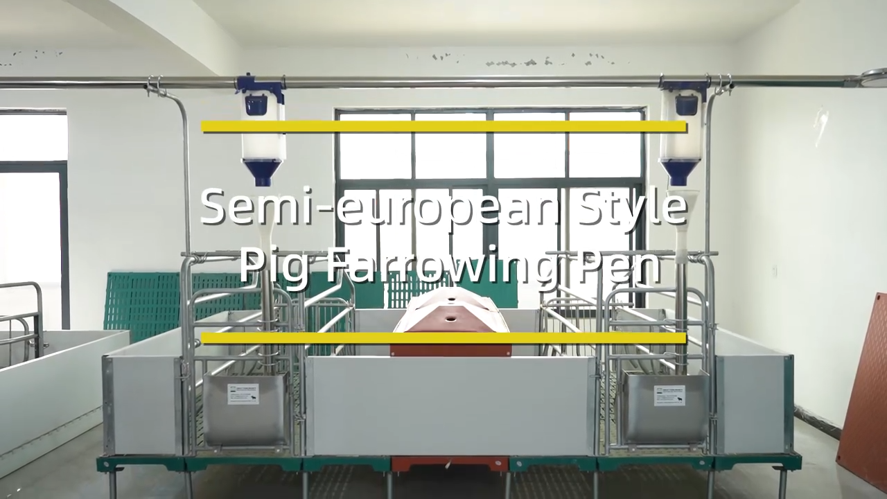 Semi-europear Style Pig Farrowing pen