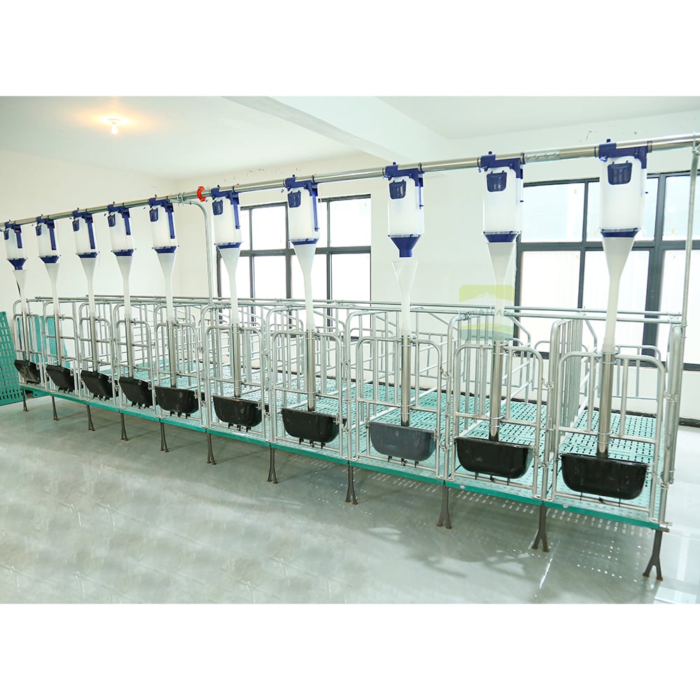 Pig pen and sow stall system illustration