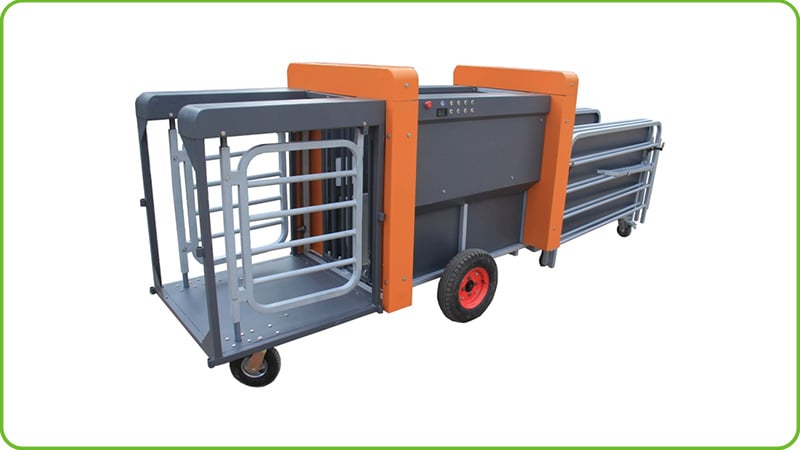 Supporting Facilities and Drinking System for Sheep Farms