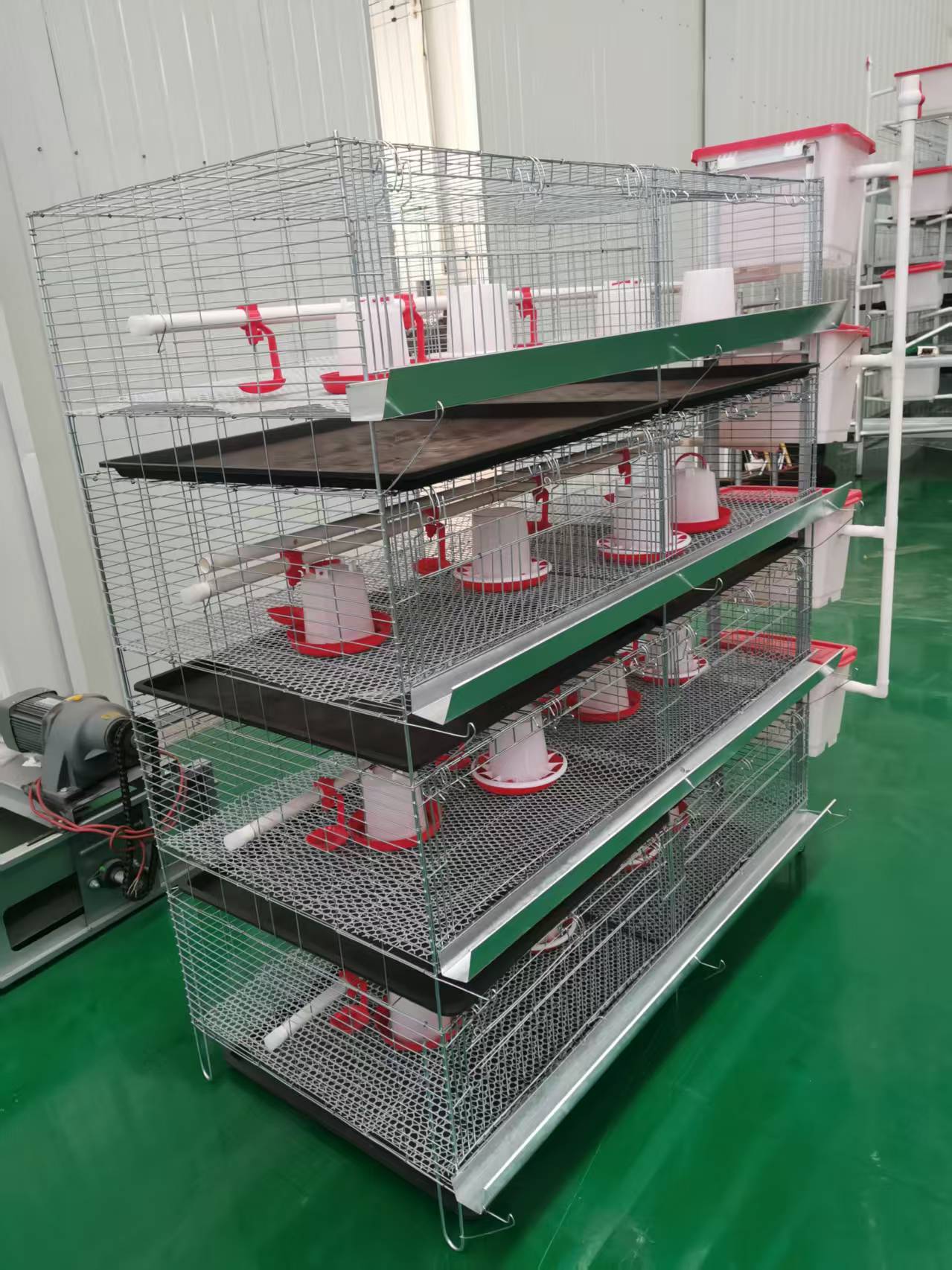 Automated Feeding and Watering Systems
