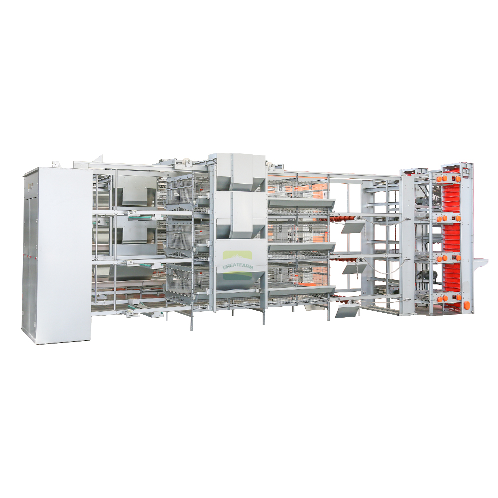H-Type Layer Cage Drawing and Layout