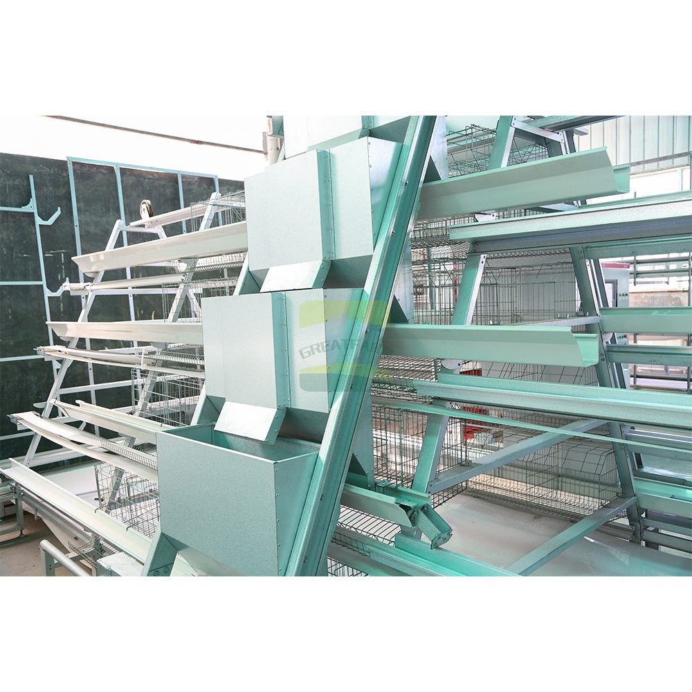 Automatic Feeding System of Layer Cage