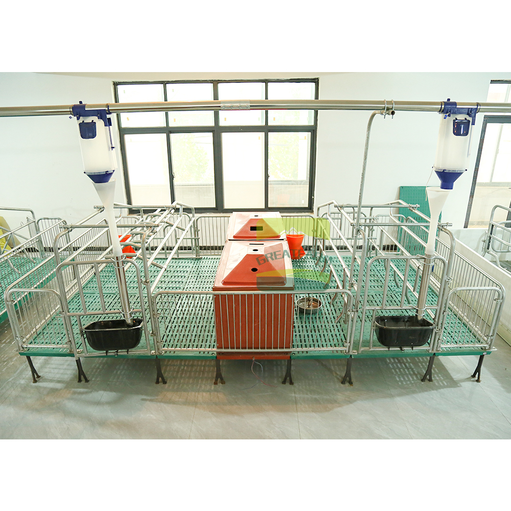 Superior Hygiene and Disease Control