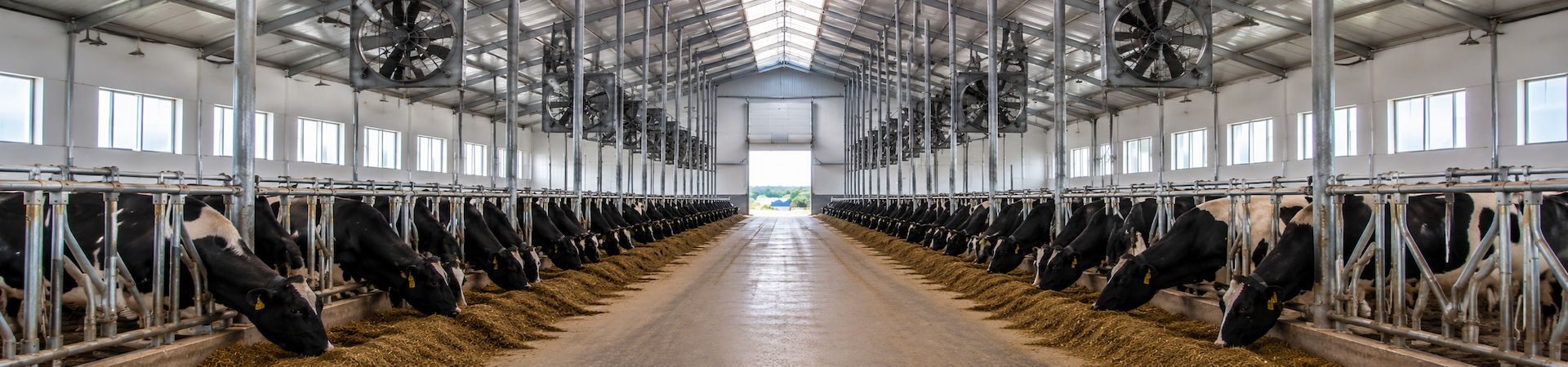 Cattle Farming Equipment