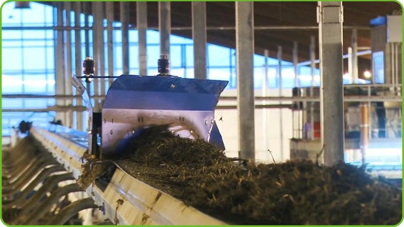 Conveyor Automatic Feeding System - 03