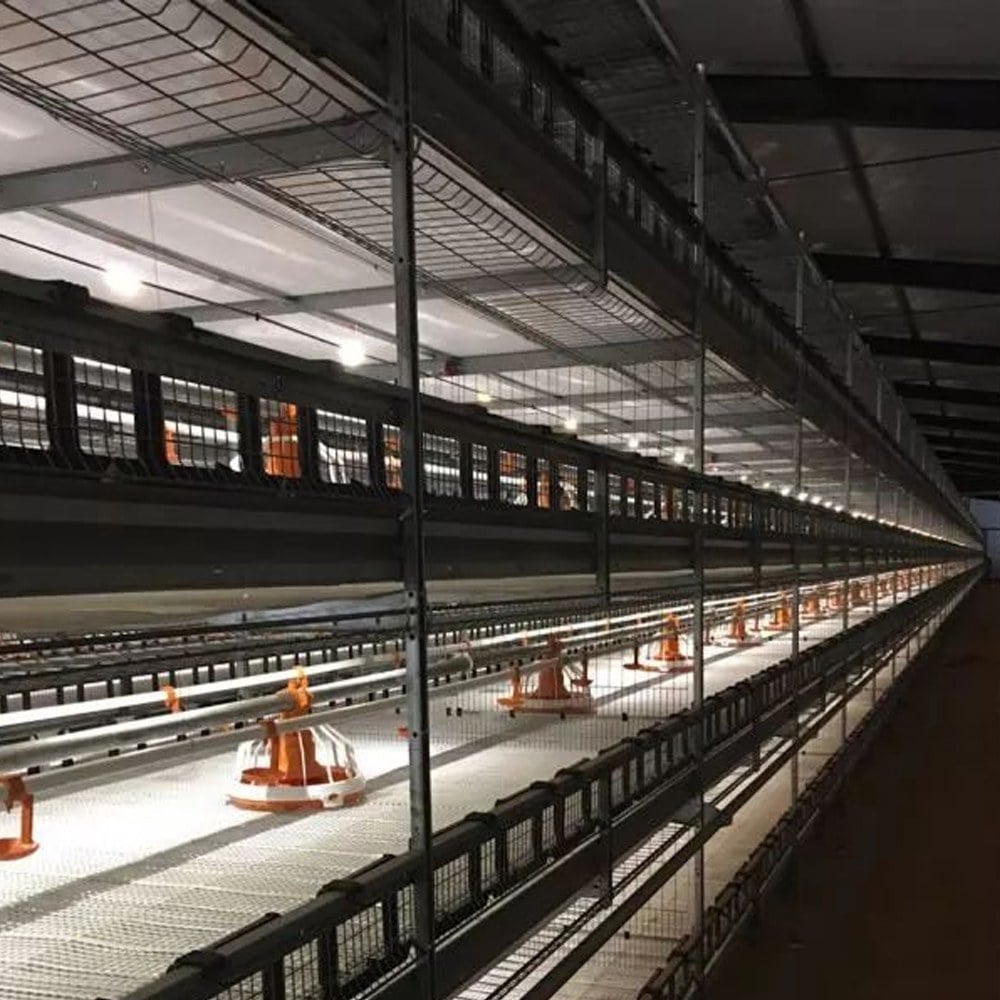 poultry house ventilation and exterior equipment