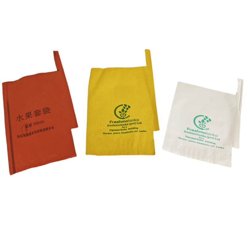 IMG20241111163734_副本.png