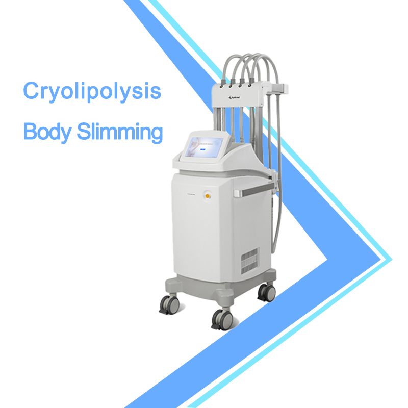 Advanced Weight Loss Cryolipolysis Solutions for Aesthetic Professionals