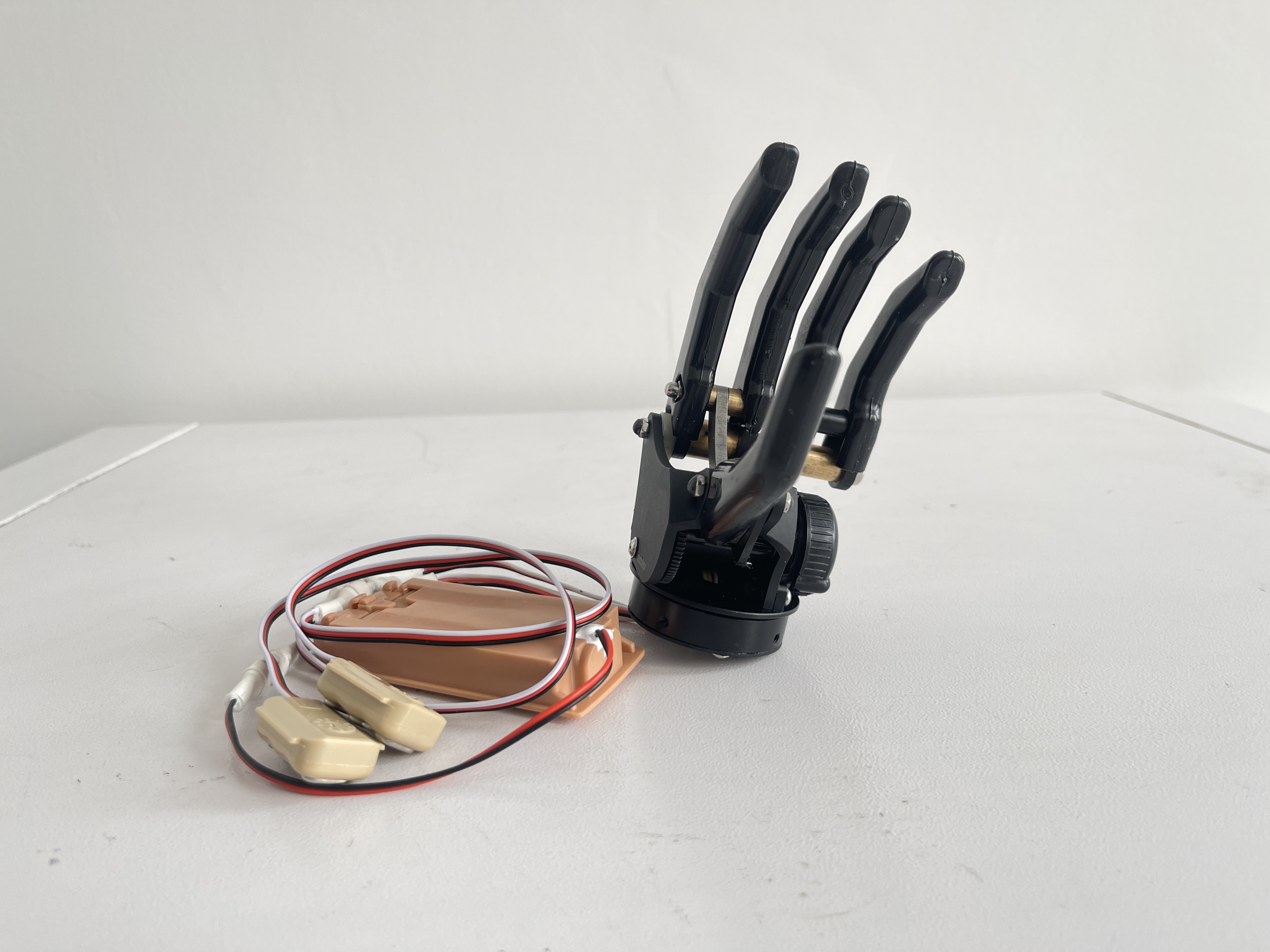 Our Wooden Prosthetic Hand: Classic Design with Reliable Functionality