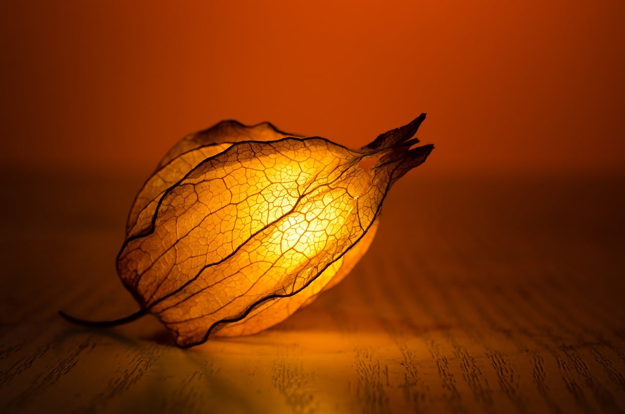 How do solar memorial lantern help families honor loved ones at cemeteries?

