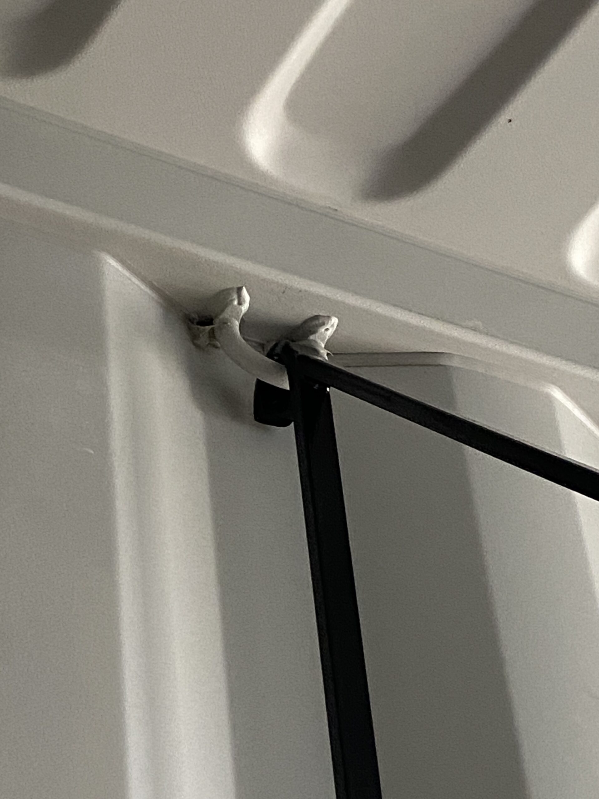 Enhancing Shipping Container Functionality with Interior Hooks