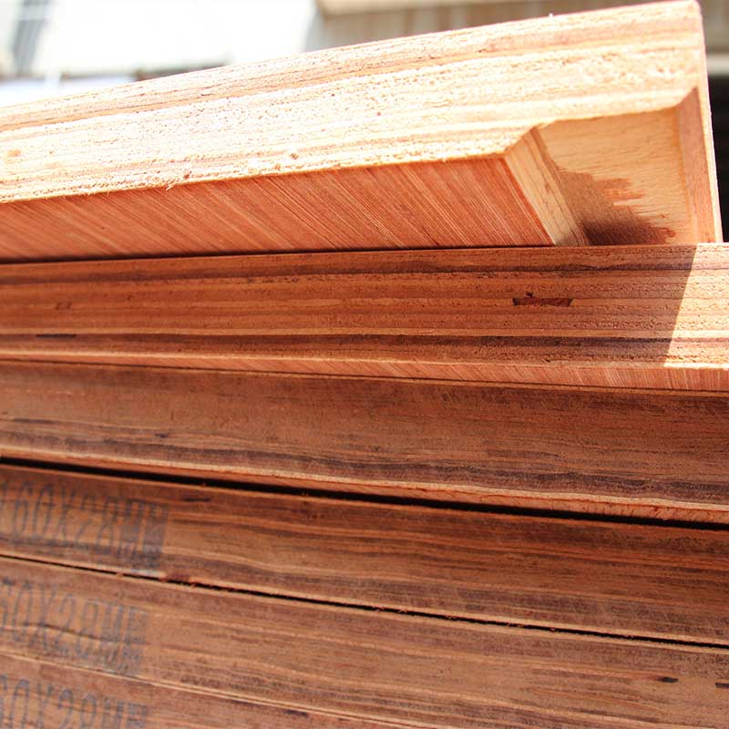 How shipping container plywood is revolutionizing the packaging industry.