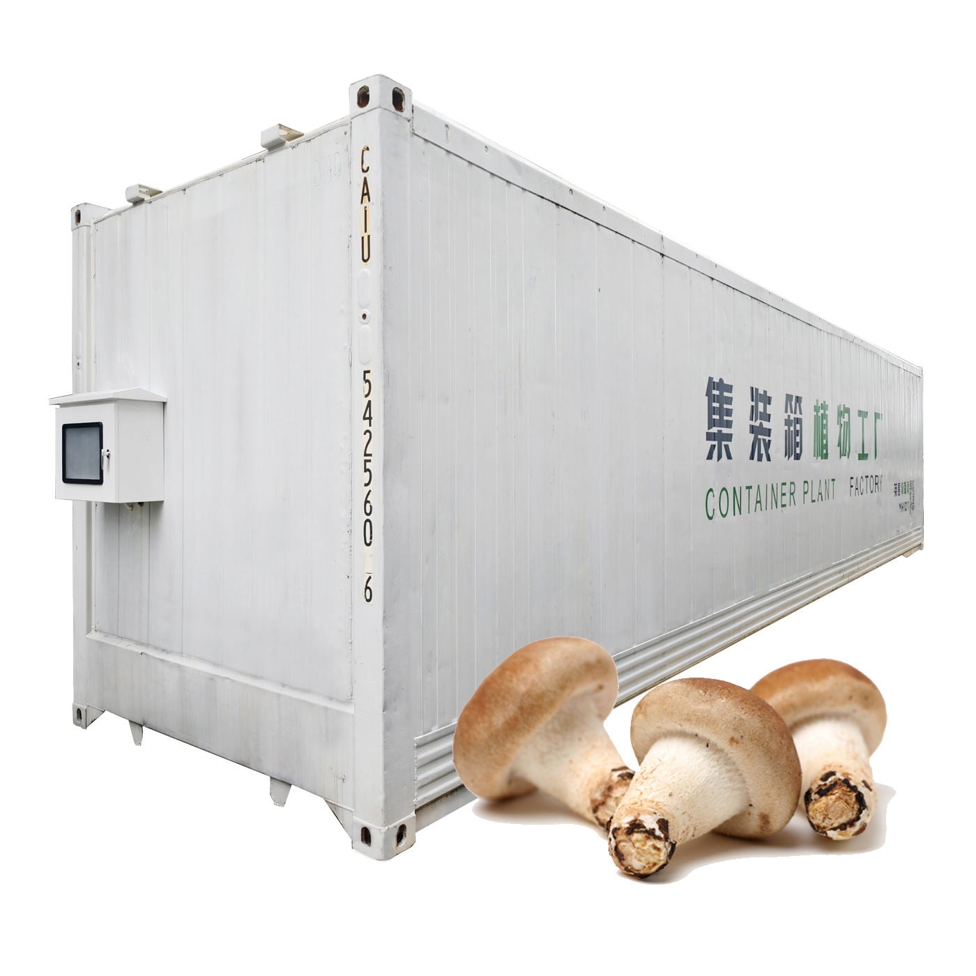 40ft Shipping Container Mushroom Greenhouse Smart Vertical Mushroom Growing Container Farm 