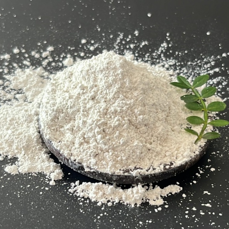 Ca(Oh)2 Hydroxide Lime Plant Industrial Calcium Hydroxide Cas No 1305-62-0 Slaked Lime Hydrated Lime Powder