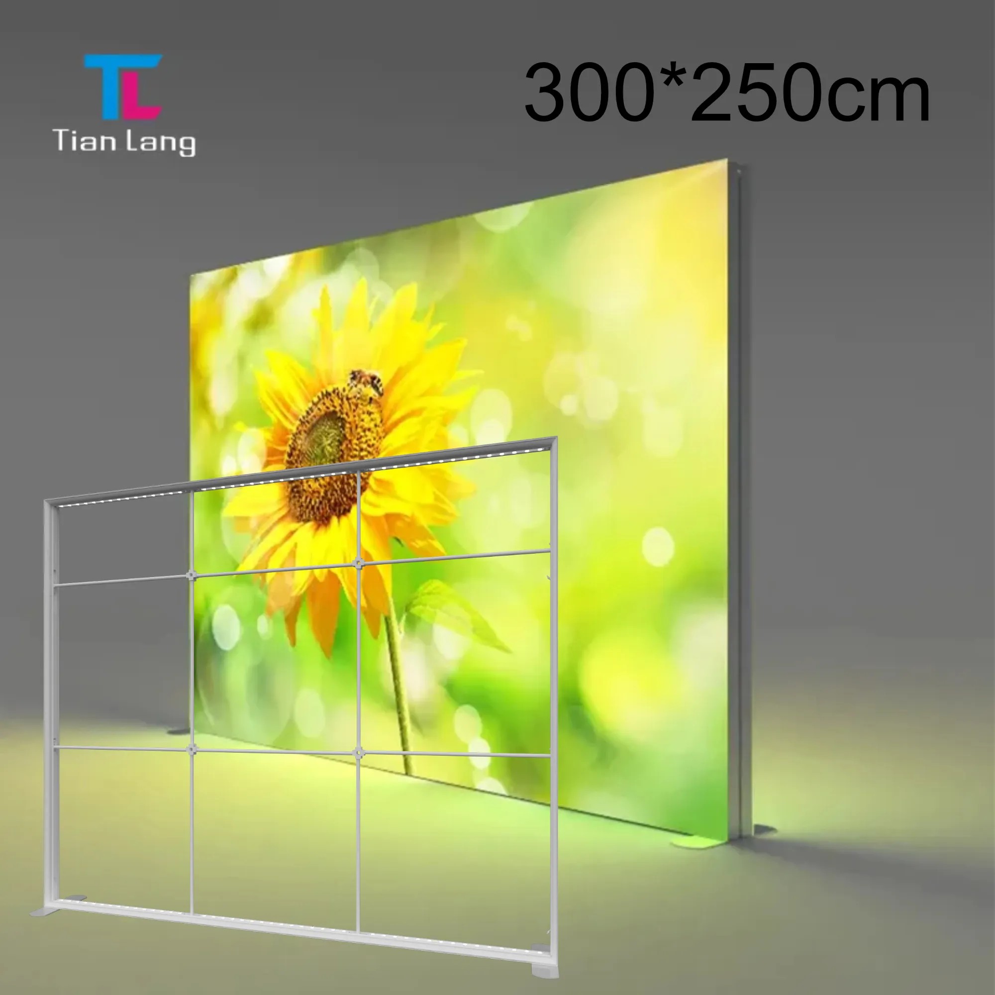 TIANLANG 120mm SEG Wall: 300x250CM