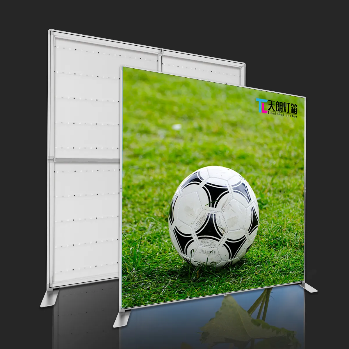 Tianlang 50mm silicone edge graphic lightbox– 2000*2438mm