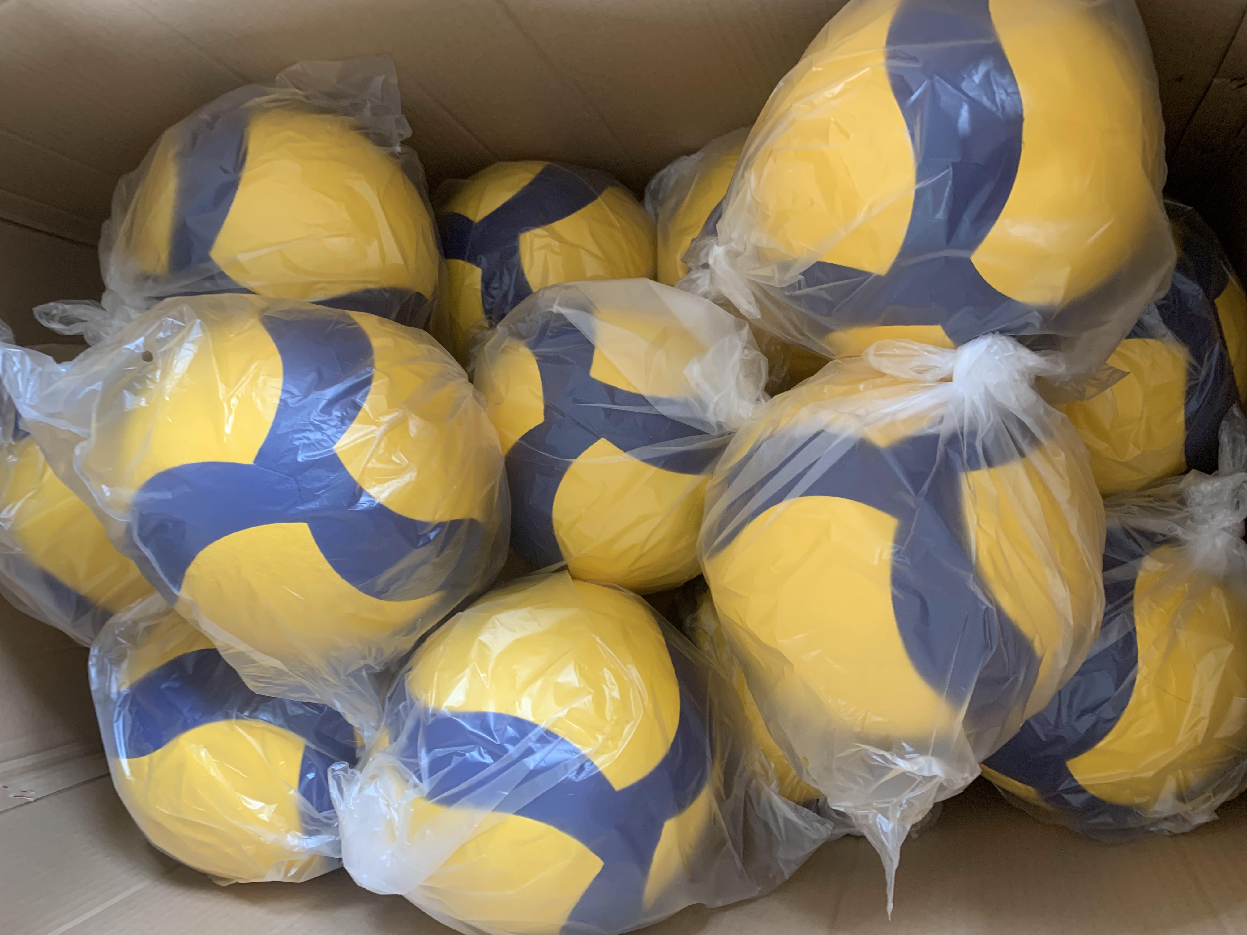 Bulk Volleyballs: QC Checks, Lead Time and Export