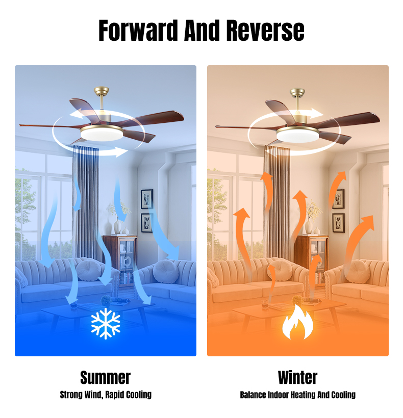 Details_07.jpg