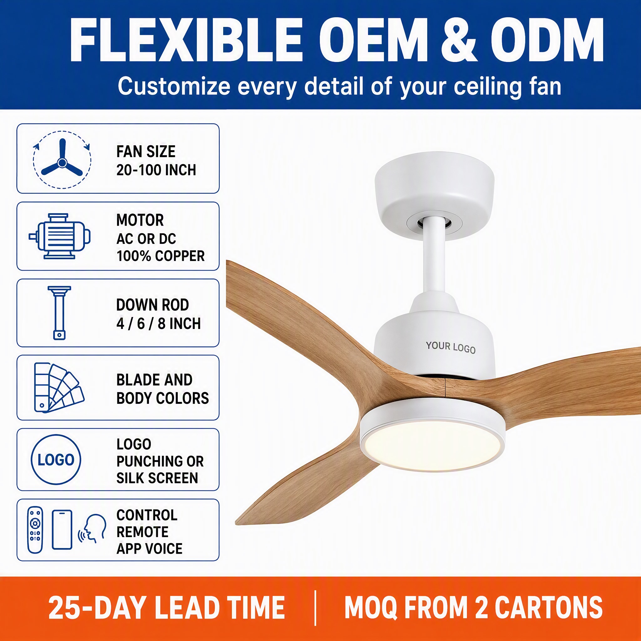 FAN LIGHT (5).jpg