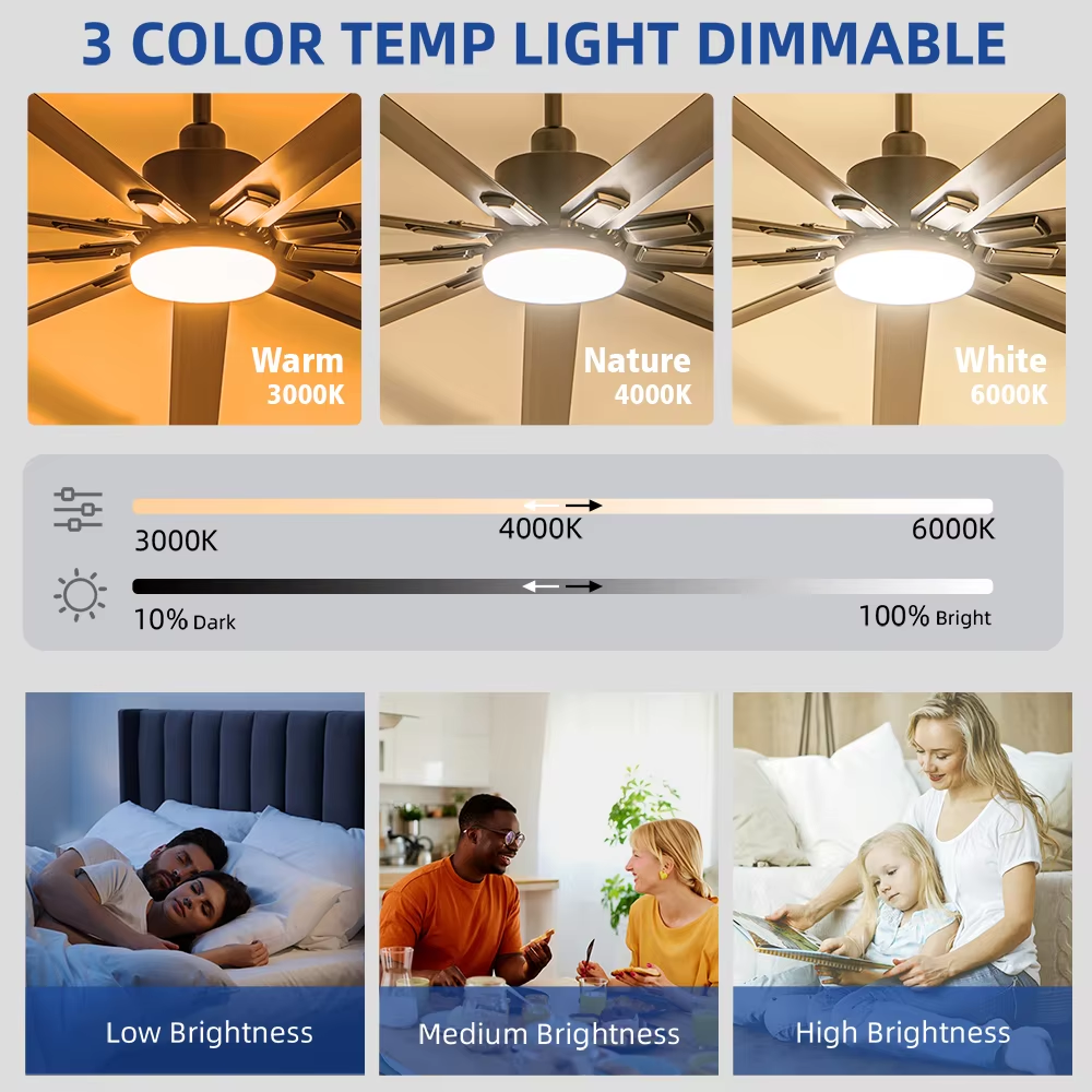 BIG FAN LIGHT (2).png
