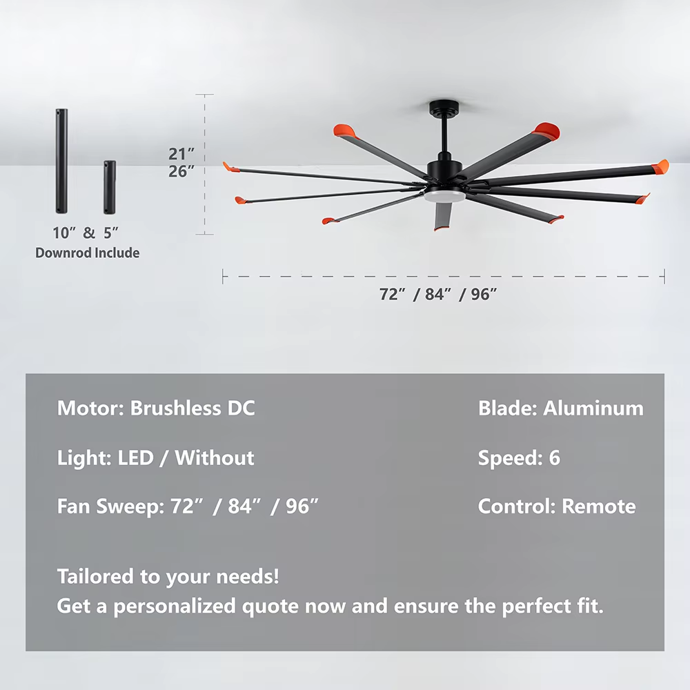BIG FAN LIGHT (1).png