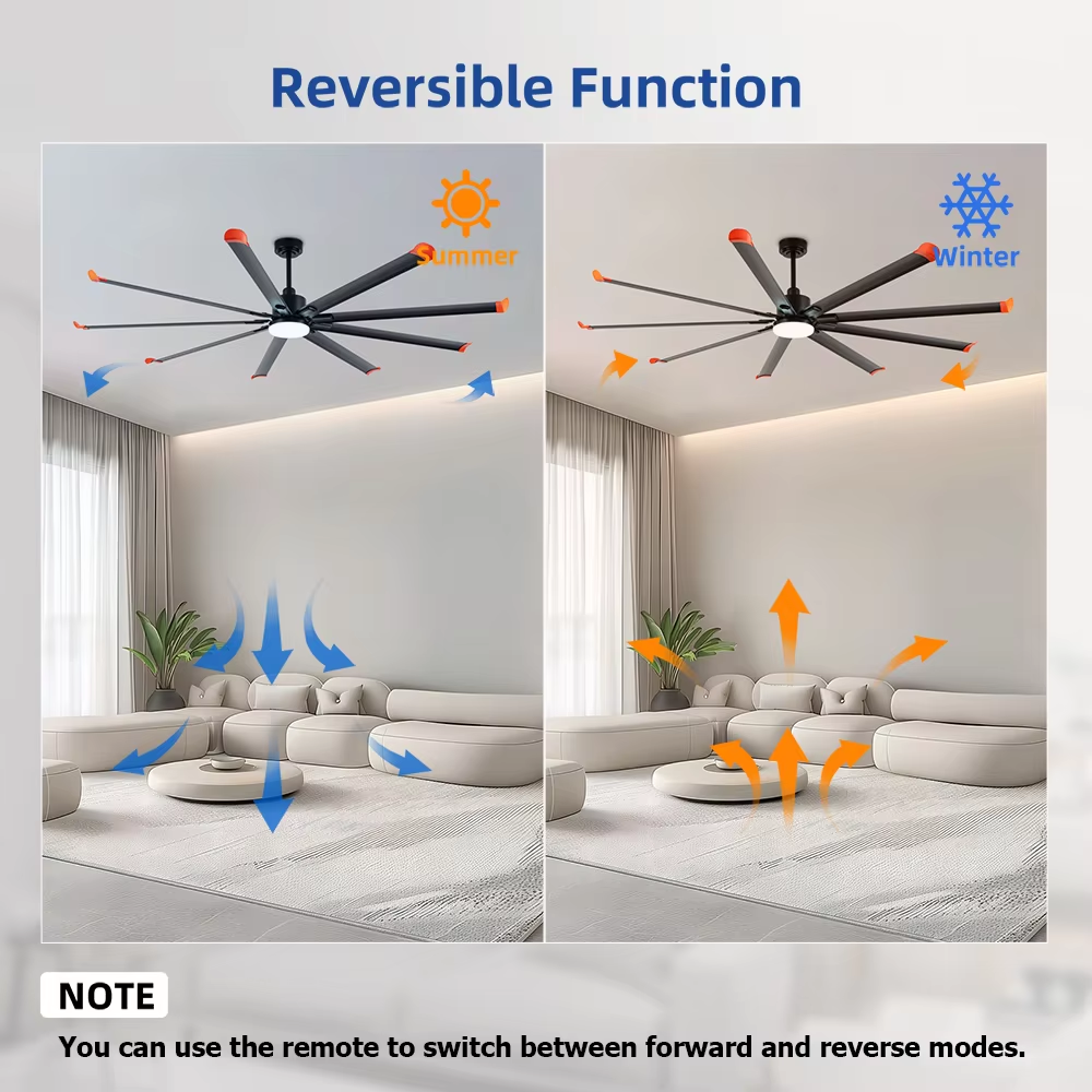 BIG FAN LIGHT (3).png