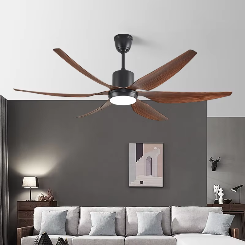 Ceiling Fan Light