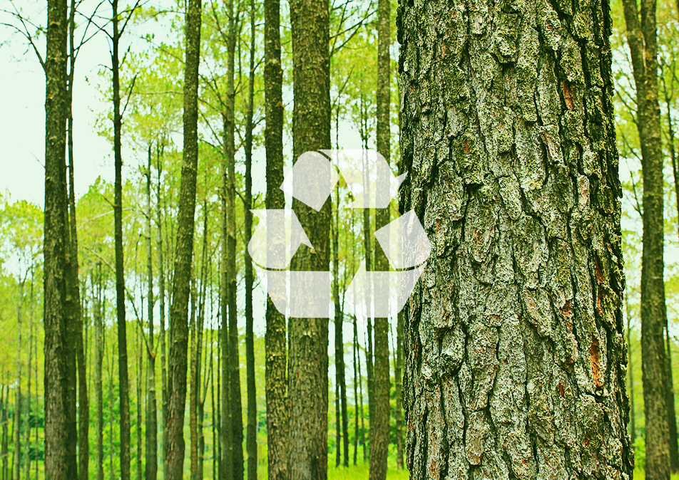 Sustainability for Environment